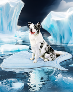 Grosir kustom baru penjualan laris tikar hewan peliharaan pendingin ekor ikan serasa keren alas anjing - Product Image 2