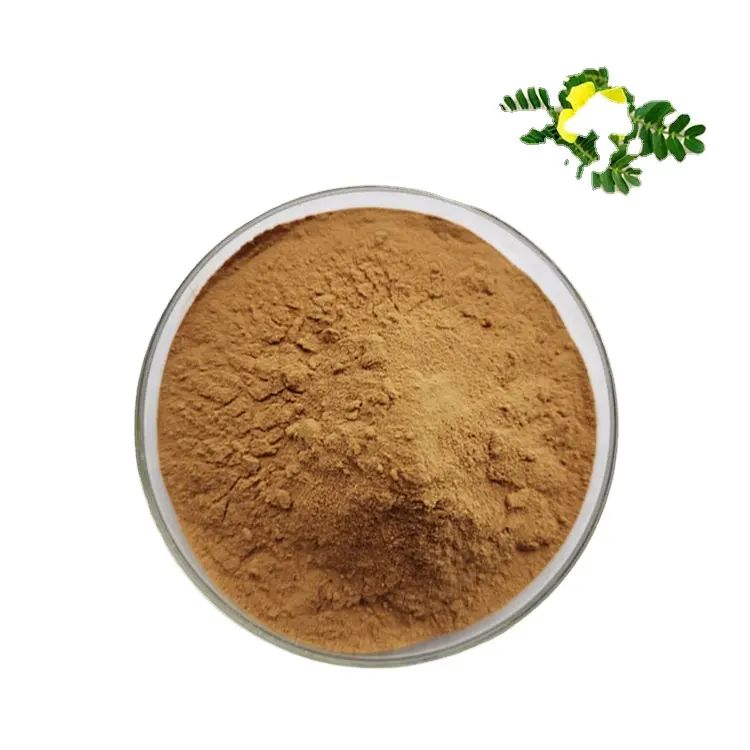 Tribulus Terrestris Suplemento Bulk Extrato Natural Ttribulus Terrestris Fruta Em Pó 95%