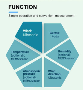 Sentec SEM2000 <strong>Temperature</strong> Humidity Pressure Wind Speed Direction Pyranometer All in One Ultrasonic Weather Station <strong>Sensor</strong> - Product Image 4