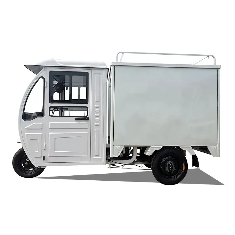 SAIGE EEC COC Hot selling adult cargo tricycle three wheel petrol motorized tricycle with cabin
