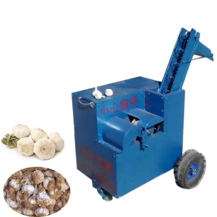 Fresh garlic root cutting machine / garlic root removing machine / garlic root cutter