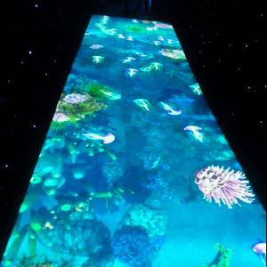 Versión básica Juegos divertidos proyección interactiva piso versión básica, personalizar los diferentes efectos visuales - Product Image 2