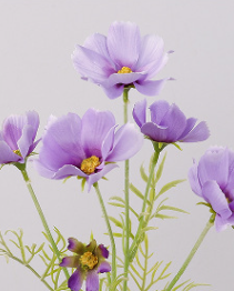 Purple Blue