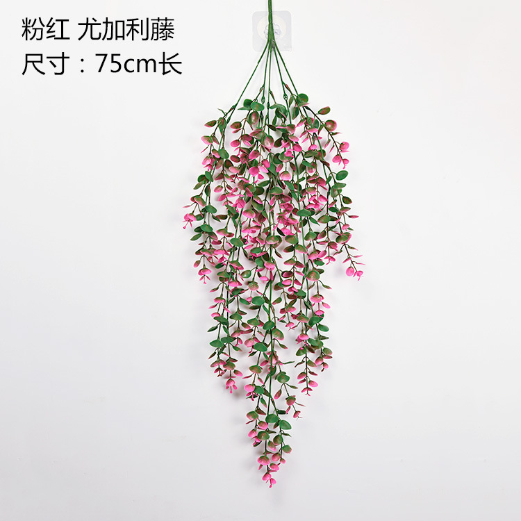 Rose (vigne d'eucalyptus à 5 branches)
