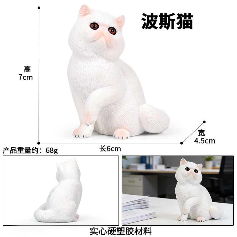M-965Chat persan blanc assis