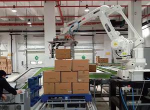 Robot Industrial Pinza Brazo Apilador Transportador Paletizador Pallet Robot Systems Personalizado - Product Image 3