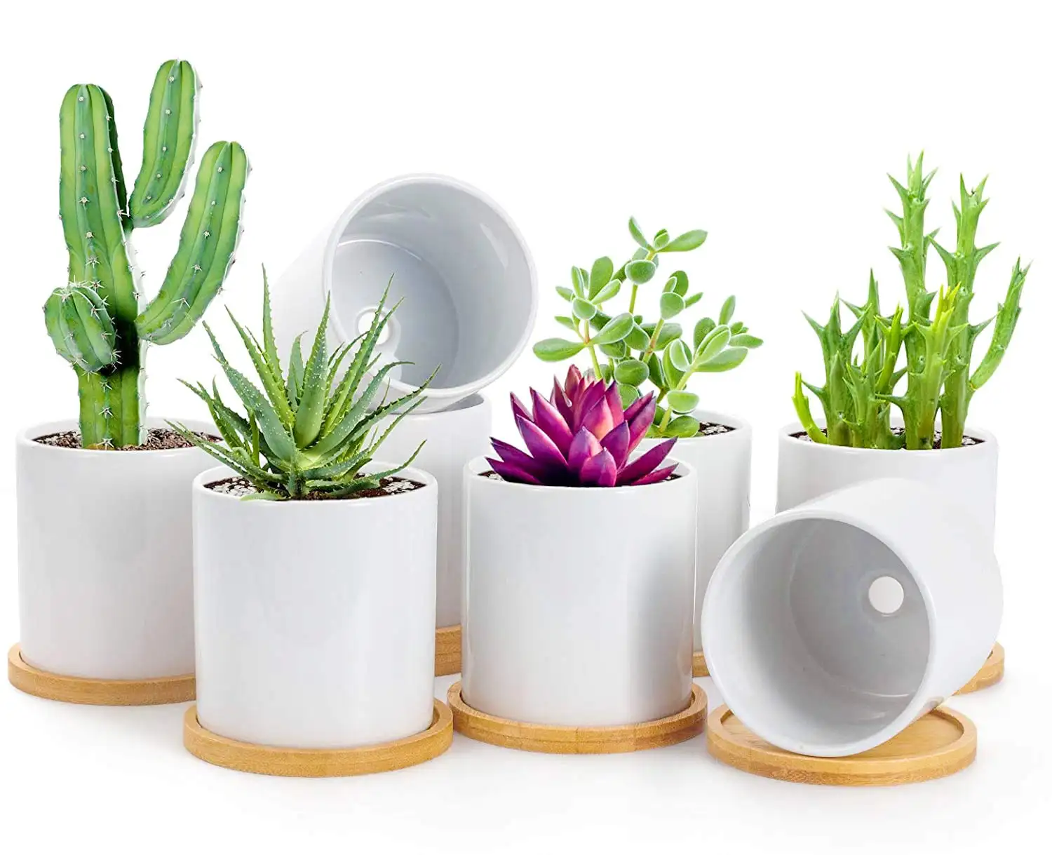 Weißer Keramik-Blumentopf mit Drainage loch und Bambus schale Kleine Kaktus-Pflanz gefäße für Home-Office-Dekor