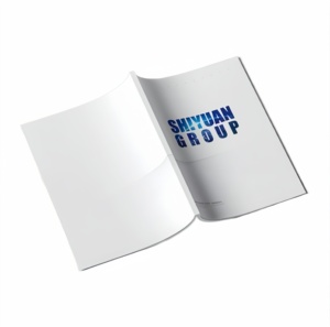 马鞍线装订廉价定制印刷按需目录印刷小册子 - Product Image 6