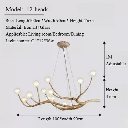 12 Bulbs