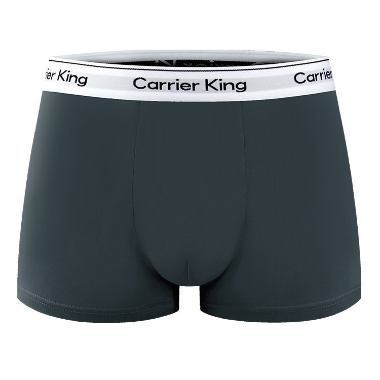 K02 gris oscuro
