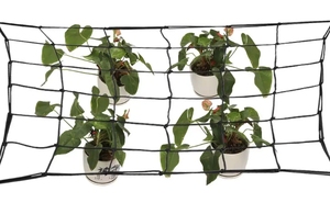 Заводская поддержка Scrog сетчатая сетка для роста палатки - Product Image 2