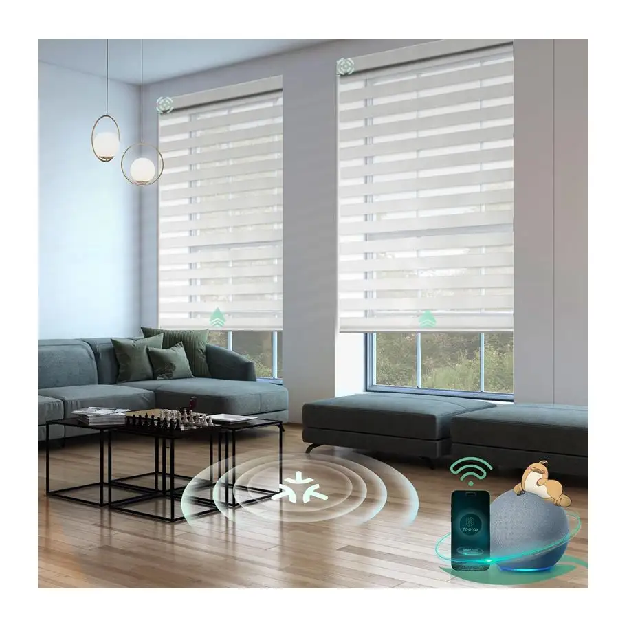 Diseño moderno Free-Stop Smart Electric Control remoto Blackout Zebra Shades para ventana