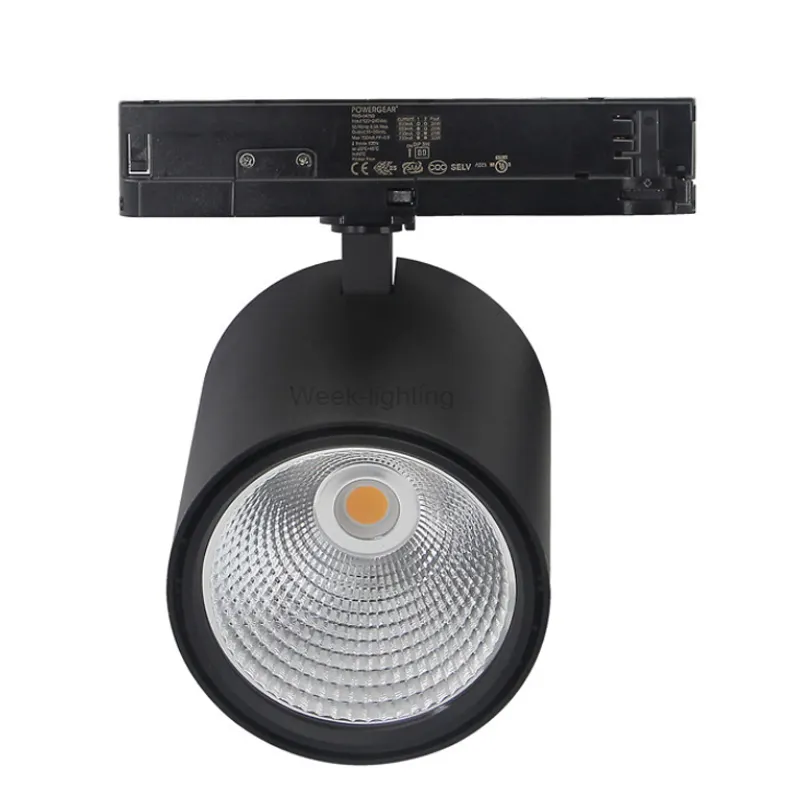 HA CONDOTTO LA Luce Della Pista COB 12W 20W 30W 40W di Guida Regolabile Lampada del Riflettore Apparecchio di Illuminazione Negozio di Abbigliamento Negozio di Visualizzazione 220V 230V 240V