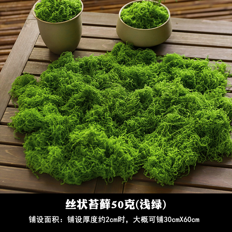 50 grams of filamentous moss (light green)