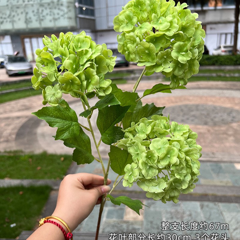3 têtes sensation bois hortensia vert