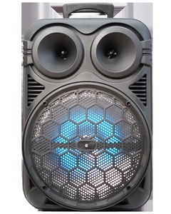 Fashion Model 12 Inch <strong>Amplifier</strong> Wired MIC Speaker with Led Display - Product Image 1