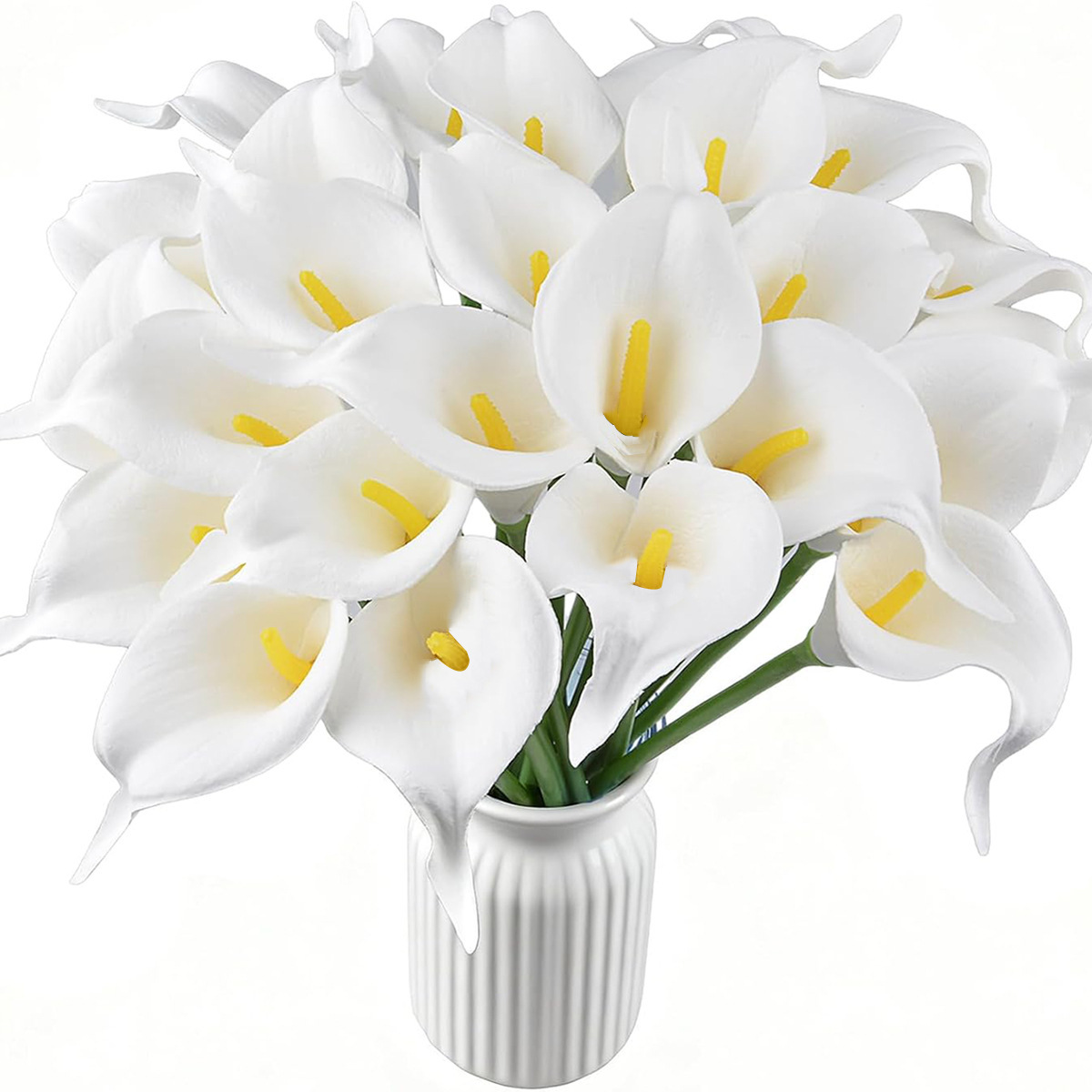 Pétalos blancos con centro amarillo.