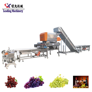 Professionelle Grape Grain Picking Maschine hohe qualität trauben wein produktion linie