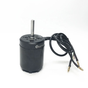 Reacher Tech定制传感器Esk8 Diy 7000w 5000w 10kw 48v 50v 75v滑板电动无刷Dc滑板电机