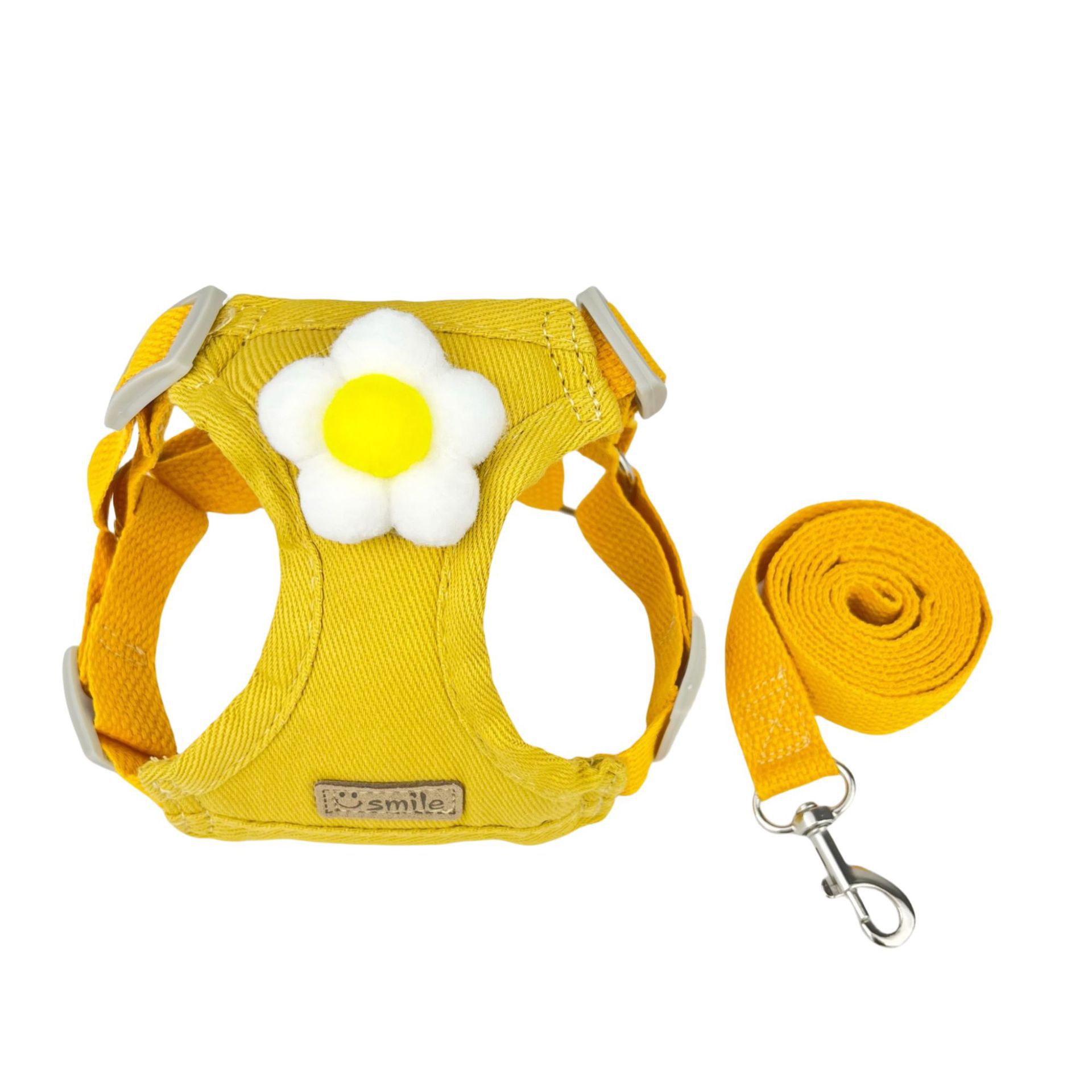 Tournesol jaune 16m