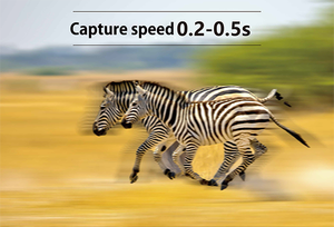 4MP4Gハンティングカメラ6Wソーラーパネル充電野生生物に敏感な検出0.2S高速アラーム屋外カメラEUAUUSバージョン