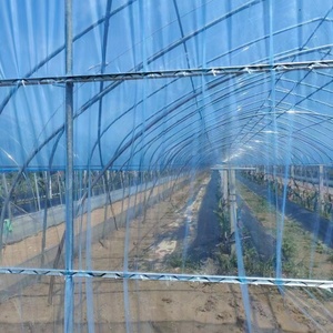 Пленка для теплиц из ПВД прозрачная 150/160/180/200 микрон | УФ-стойкая пленка для защиты растений при выращивании овощей, с возможностью индивидуальной нарезки - Product Image 6