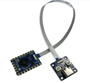 RP2040-Tiny geliştirme devre kartı modülü rparduino sıfır ahududu Pi PICO USB tip C arayüzü 264KB SRAM 2MB flaş C/C + + Arduino için