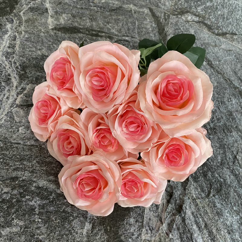 Rosa