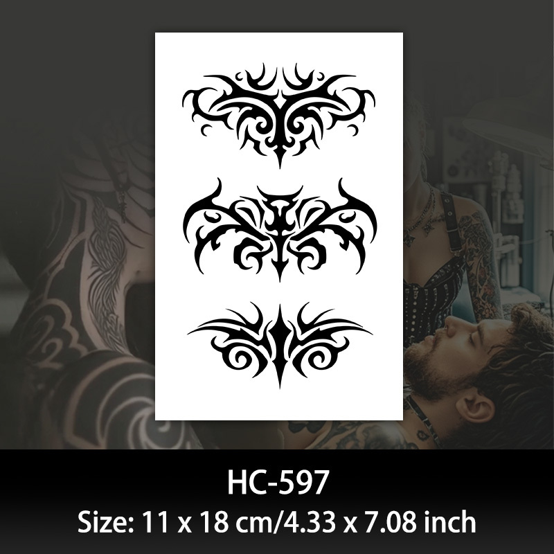 HC597