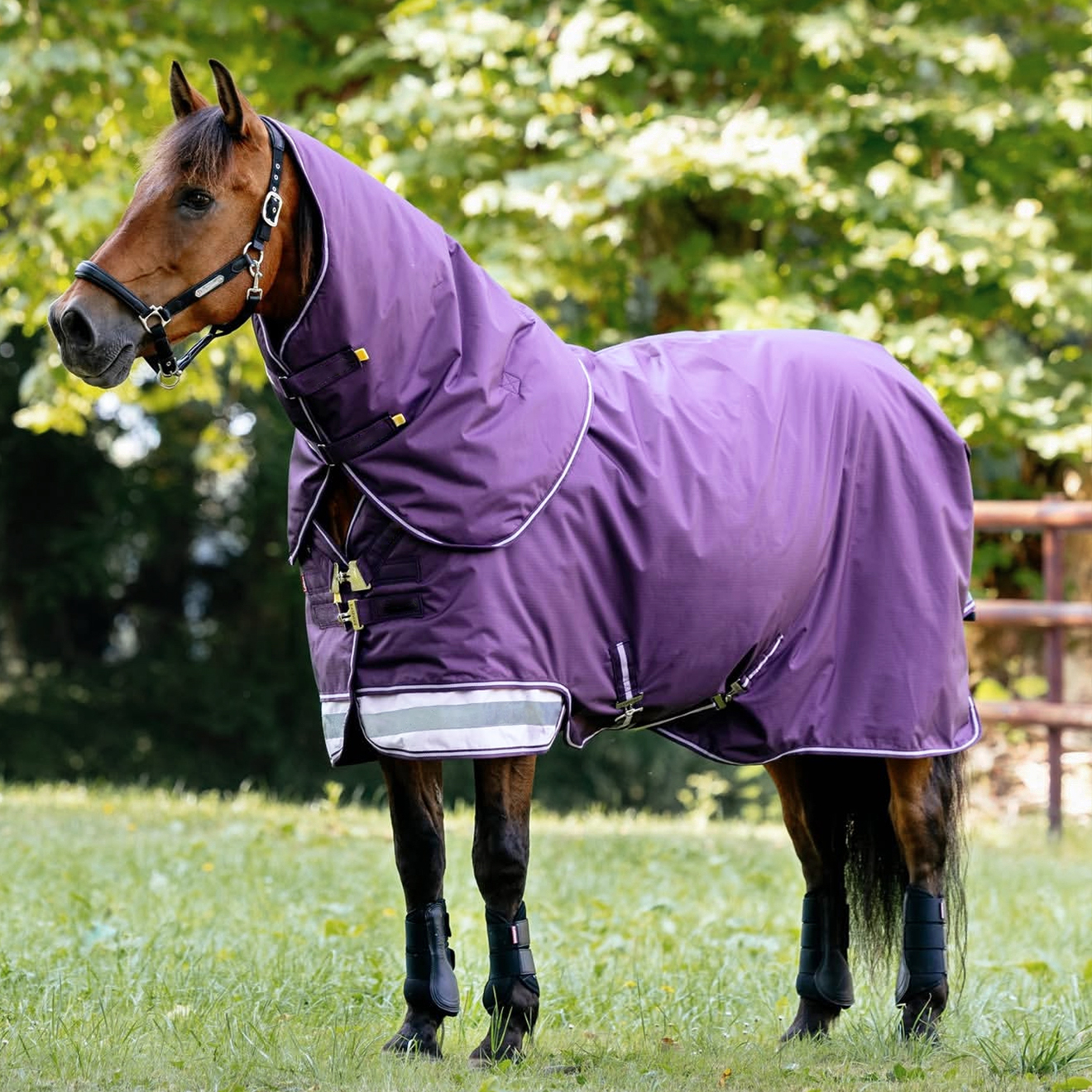 Purple