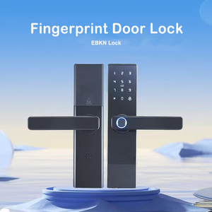 Prezzo a buon mercato digitale digitale elettronico biometrico codice della carta di Password TTLock Smart porta maniglia serratura per le case