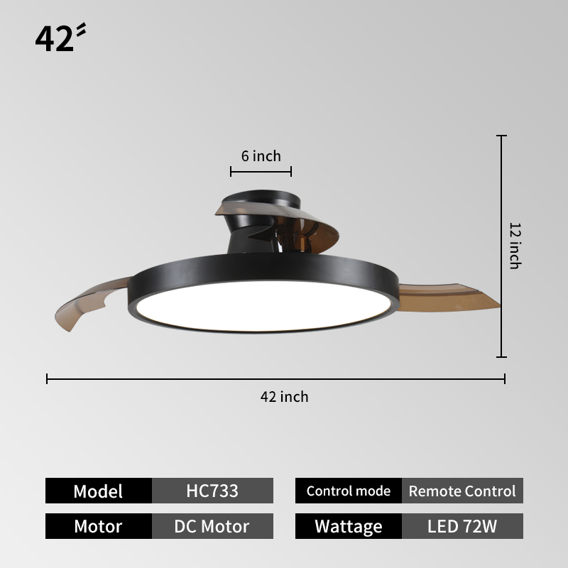 Plafond noir + 42