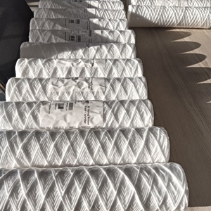 Homay, 10 дюймов, 10 микрон - Product Image 5