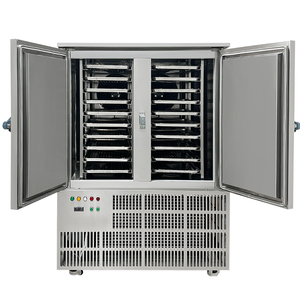 -45 <strong>C</strong> or -80 <strong>C</strong> Single or Double Door Food Quick Upright <strong>Blast</strong> Freezer Machine for Commercial Kitchen and Food Shop - Product Image 1