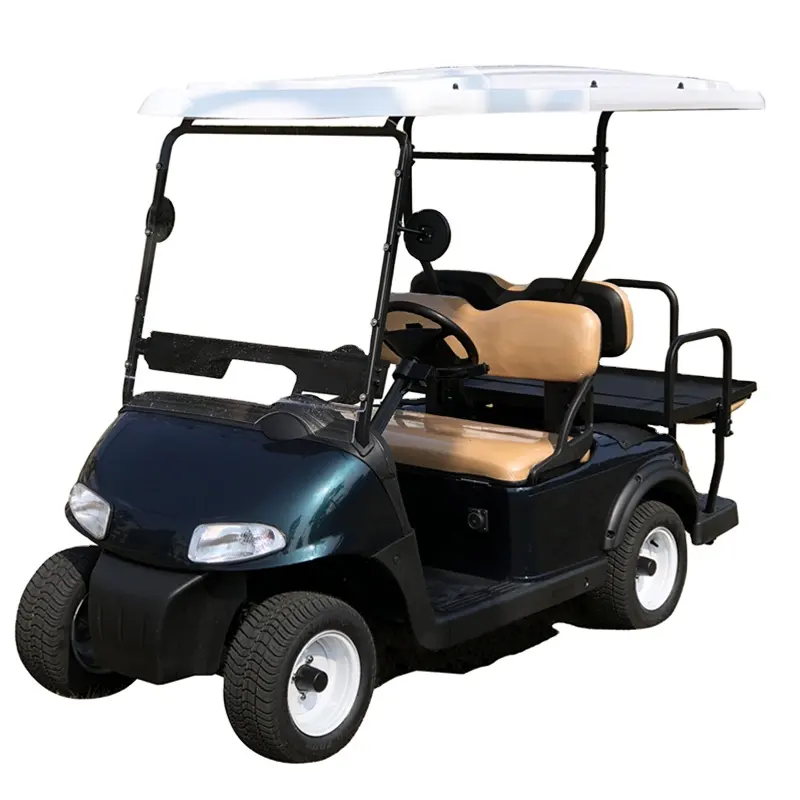 Carrito de Golf eléctrico para 4 personas, carrito de Golf con asiento trasero
