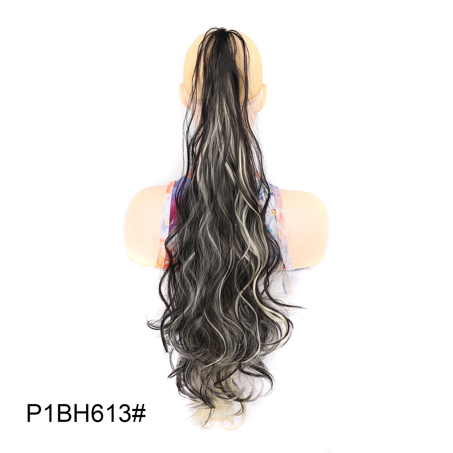 P1BH613