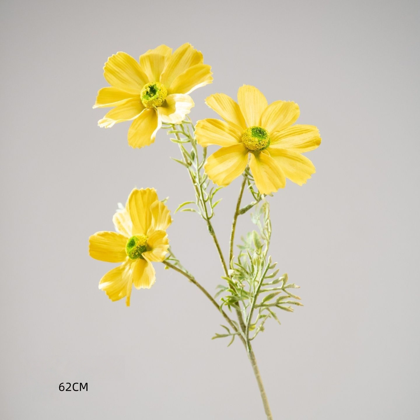Fleur de gesang jaune