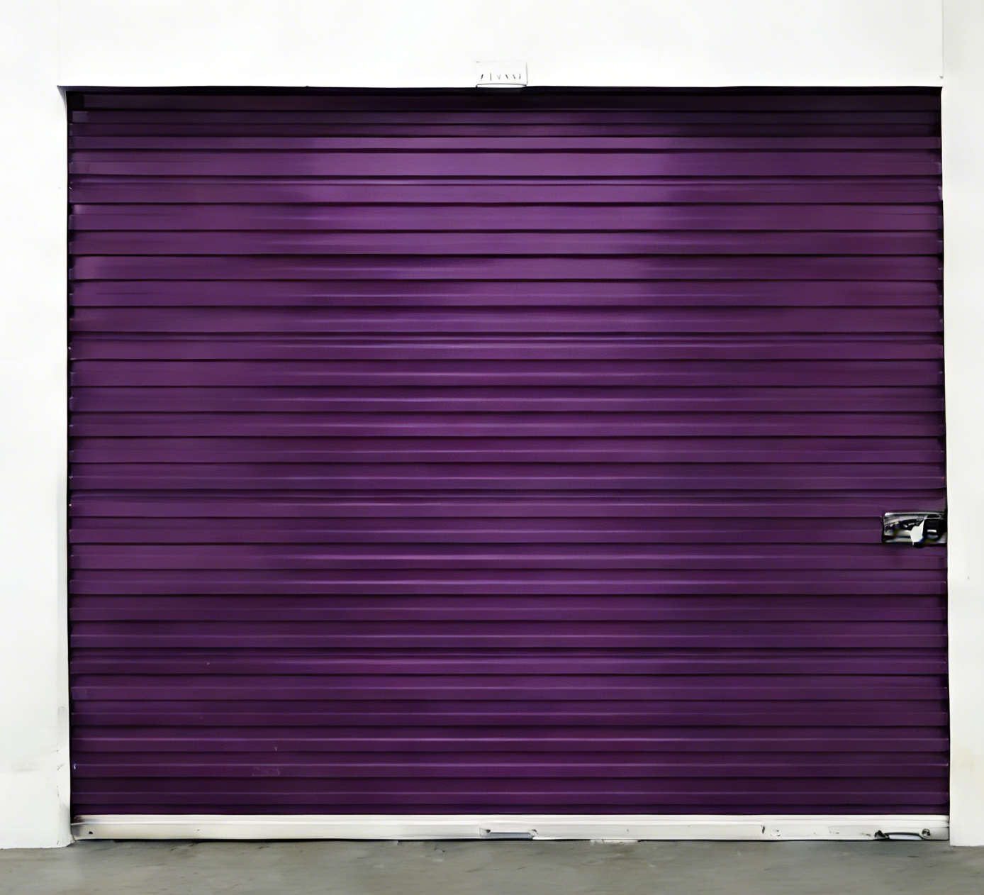 Viola