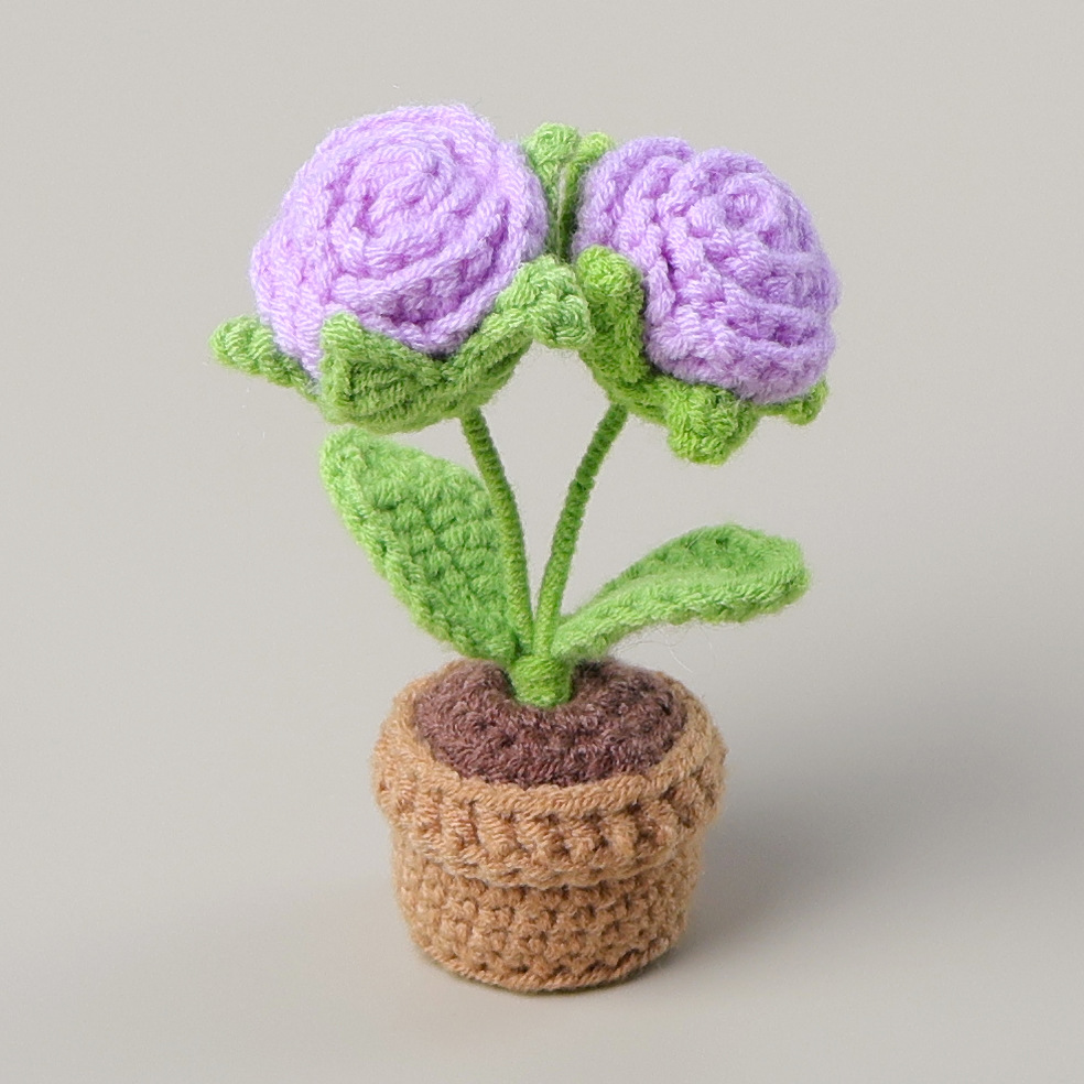 Plante en pot rose à deux têtes violette