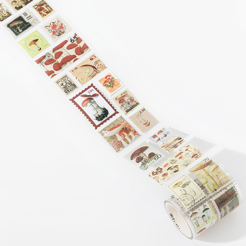 03-Colección de hongos