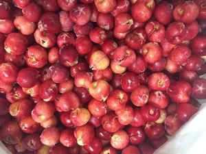 Factory Directly Selling <strong>Exported</strong> Frozen Fruit IQF Sour Cherry - Product Image 4