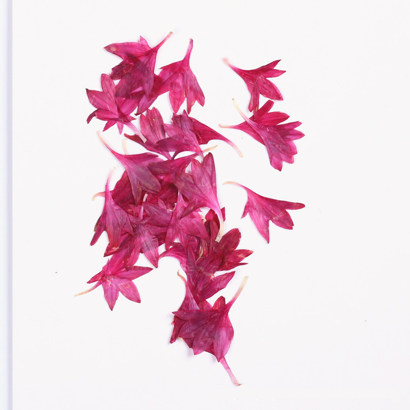 Rosso violaceo