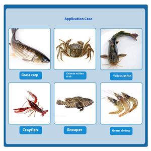ODM 1000ppm Nano Silber Aquakultur Anti bakterielles Mittel Chlor freie Lösung für Garnelen fisch krabben Vibriocidal Stock Solution - Product Image 3