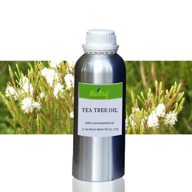 Aceite Esencial de árbol de té australiano, 100% puro y Natural, orgánico, a granel, 1kg