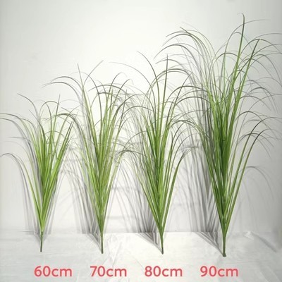Herbe à oignon vert 90cm
