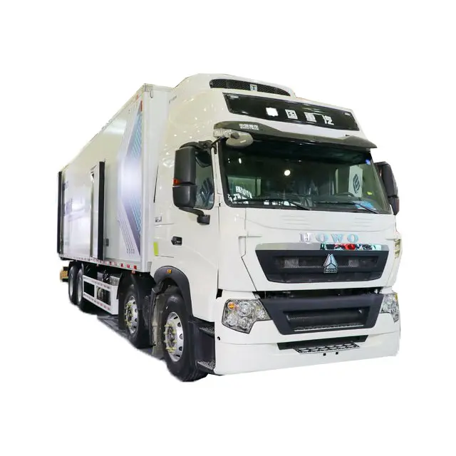 Marca famosa de China, camión refrigerado de SINOTRUK HOWO 6x4 para carne/leche/alimentos congelados en Singapur