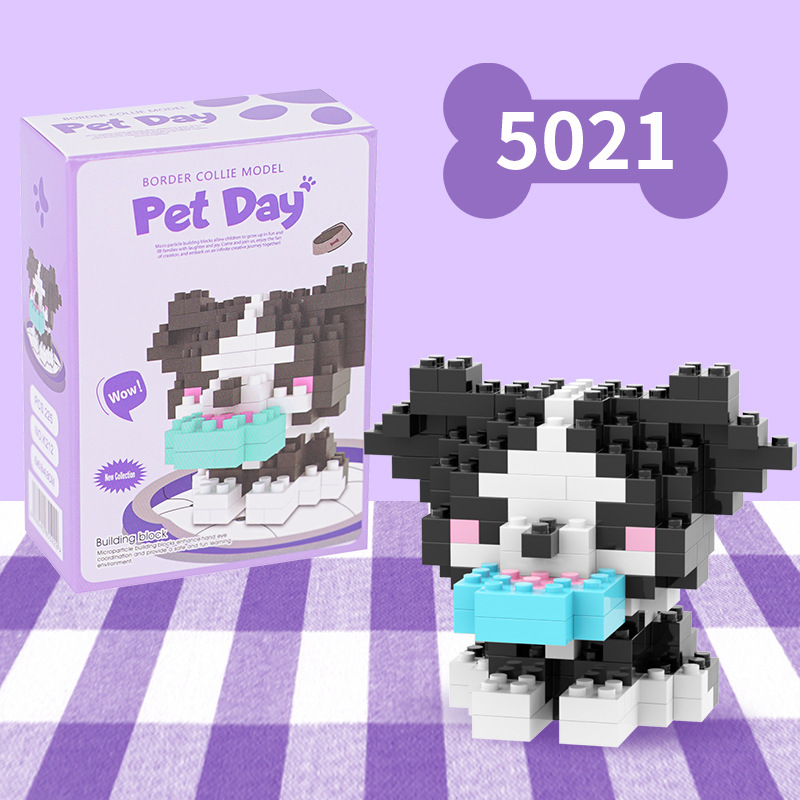 Collie de bordure blanc-5021