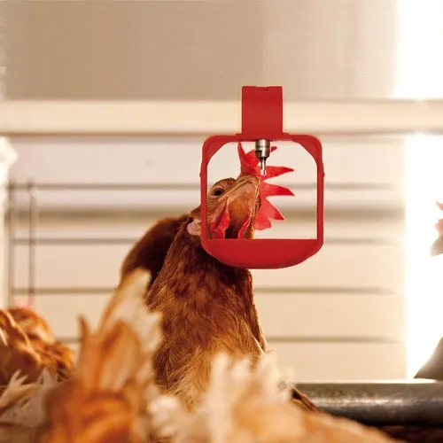 Tavuk çiftliği kanatlı ev su meme ss hattı aksesuarları fincan içenler ekipmanları satılık tavuk evi
