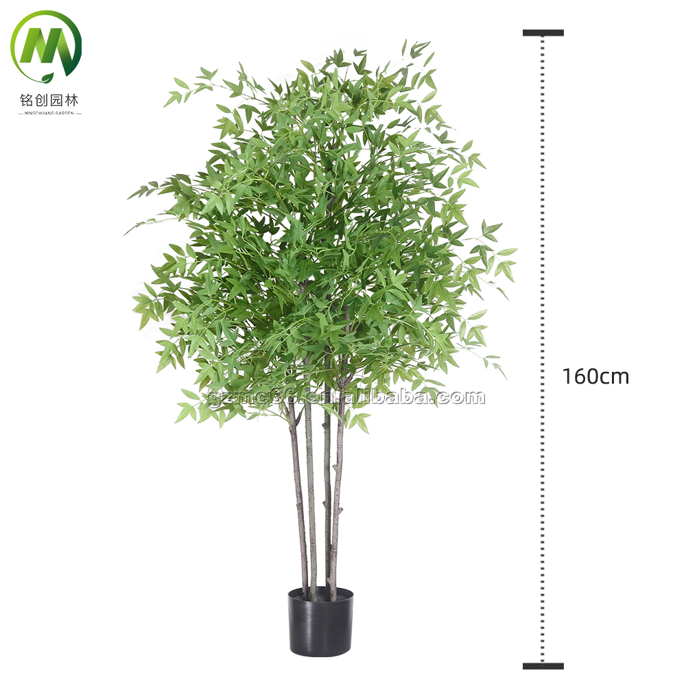 160cm Verde