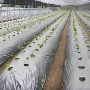 塑料pe透明透明和工业用途建筑薄膜
